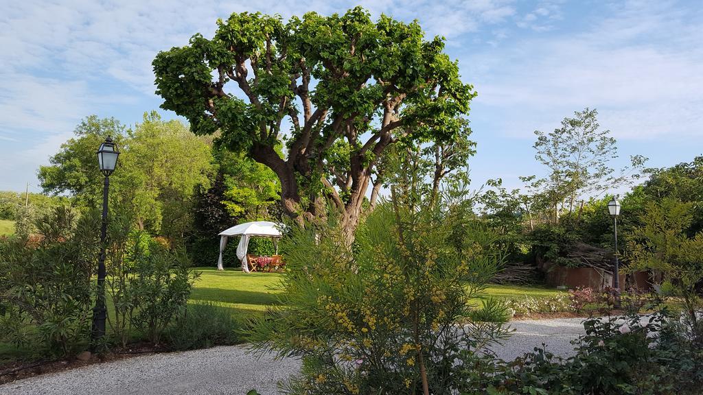 B&B Casa Pagliette Cavriana Εξωτερικό φωτογραφία